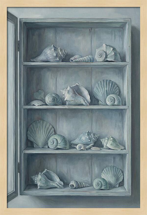 Collection Of Sea Shells