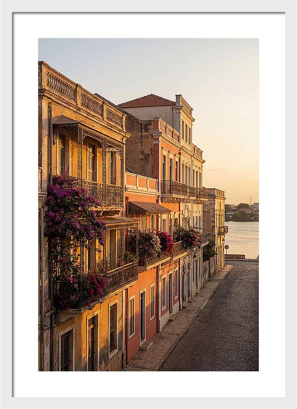 Colonial Charm At Golden Hour
