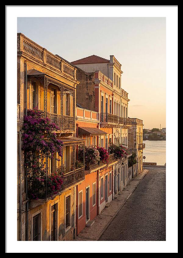 Colonial Charm At Golden Hour
