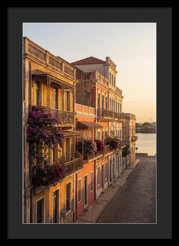 Colonial Charm At Golden Hour