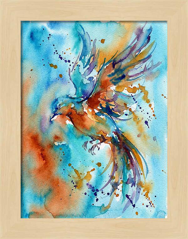 Colorful Bird In Flight