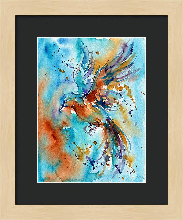 Colorful Bird In Flight