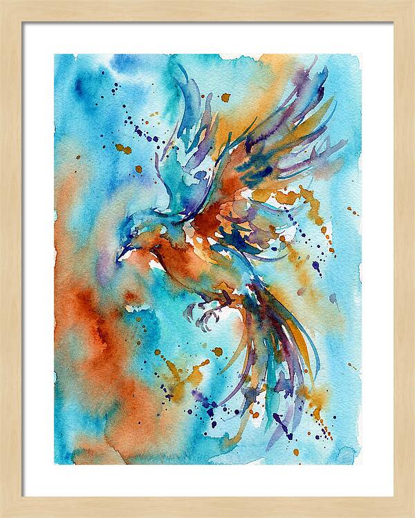 Colorful Bird In Flight