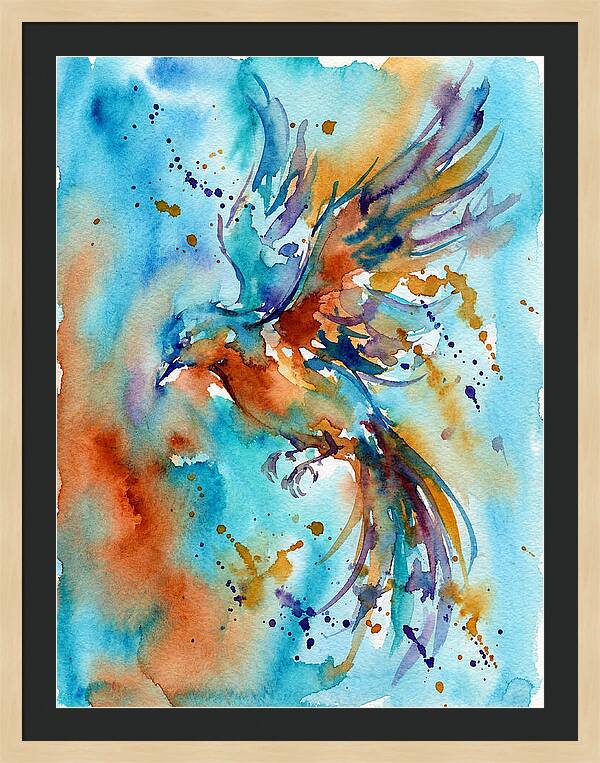 Colorful Bird In Flight