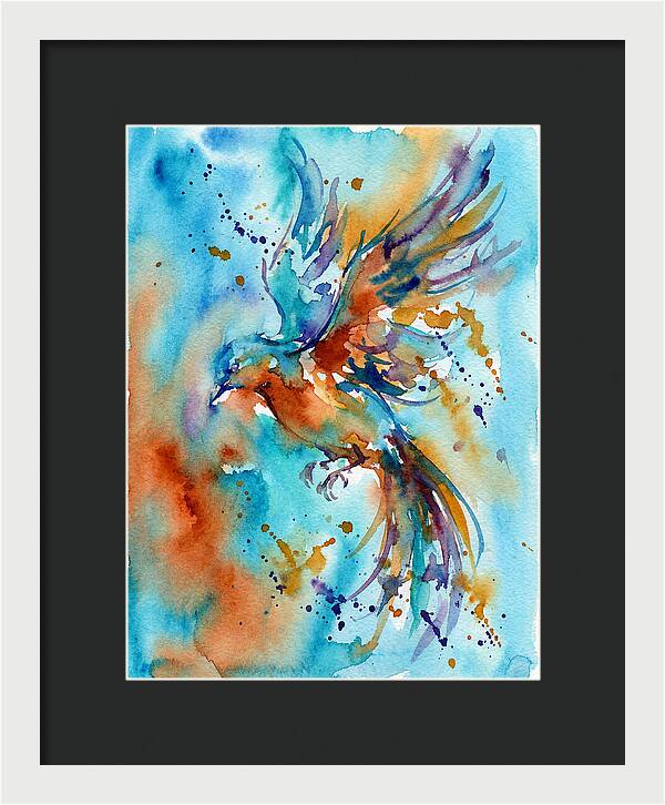 Colorful Bird In Flight