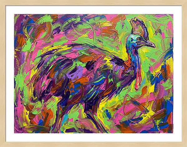 Colorful Cassowary Encounter