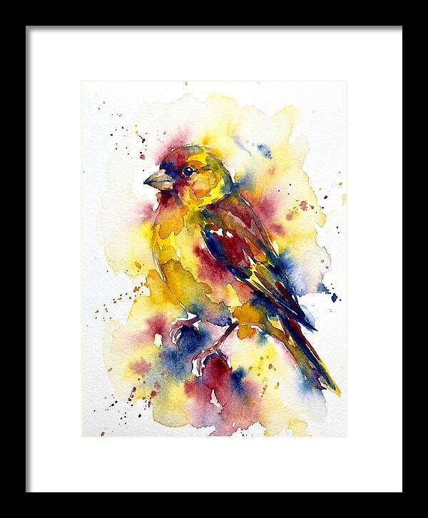Colorful Finch Watercolor