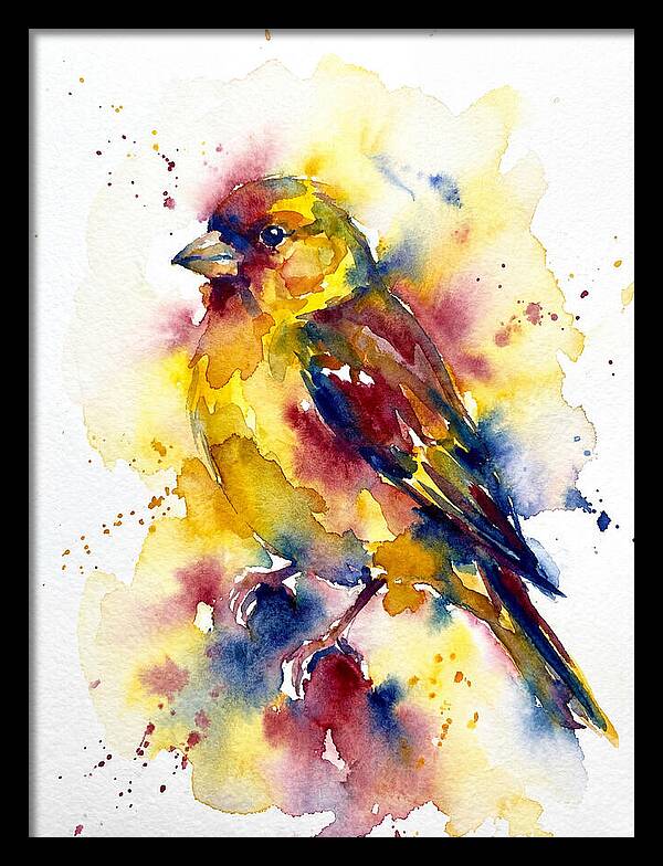 Colorful Finch Watercolor
