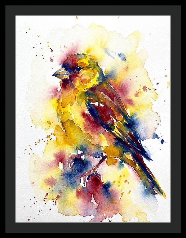 Colorful Finch Watercolor