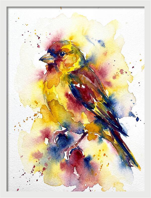 Colorful Finch Watercolor