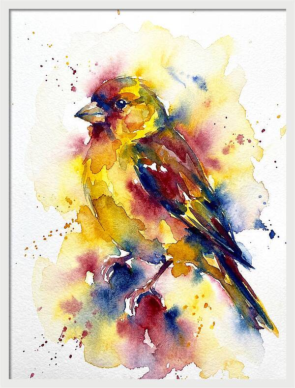 Colorful Finch Watercolor