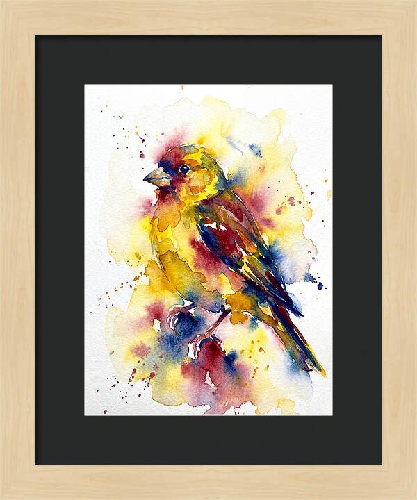 Colorful Finch Watercolor