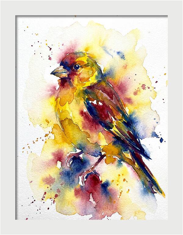 Colorful Finch Watercolor