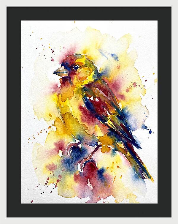 Colorful Finch Watercolor