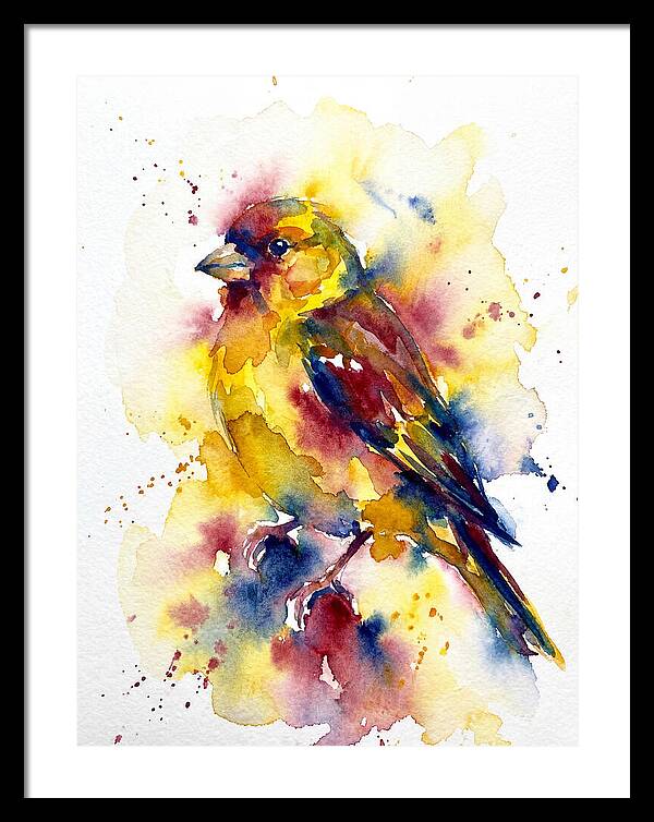 Colorful Finch Watercolor