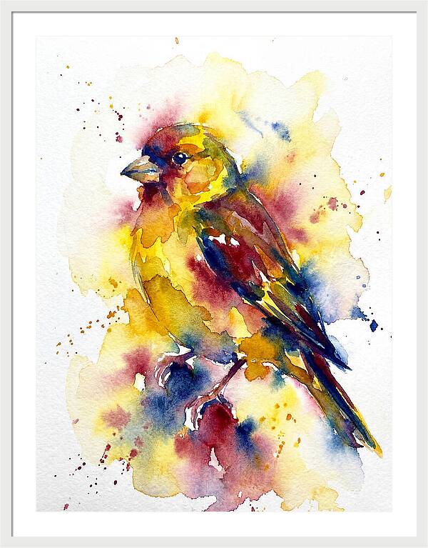 Colorful Finch Watercolor