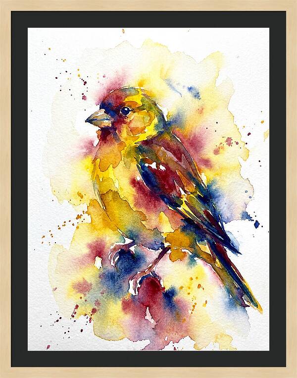 Colorful Finch Watercolor