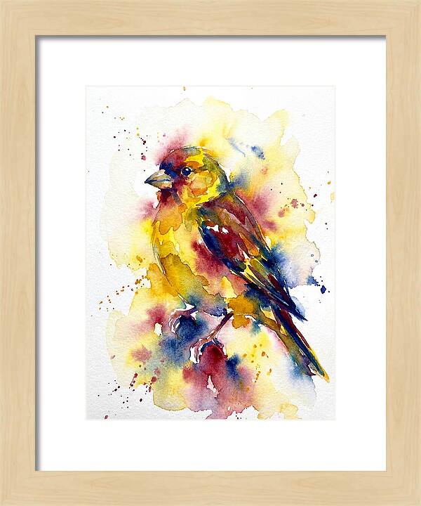 Colorful Finch Watercolor