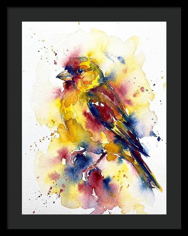 Colorful Finch Watercolor