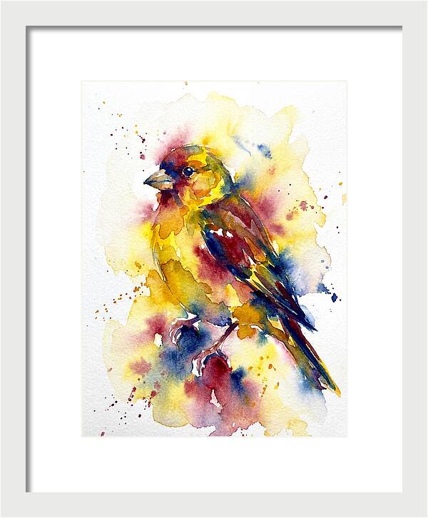 Colorful Finch Watercolor