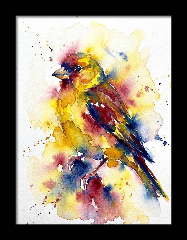 Colorful Finch Watercolor