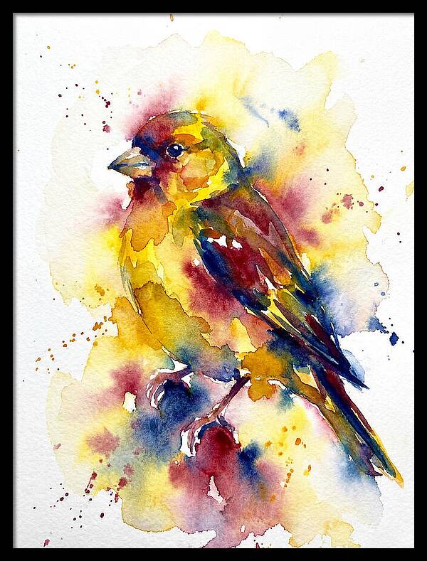 Colorful Finch Watercolor