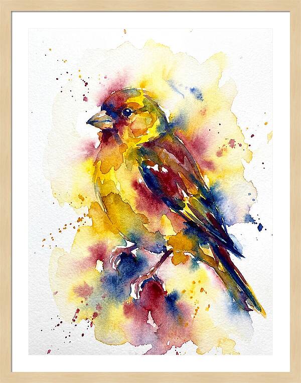 Colorful Finch Watercolor