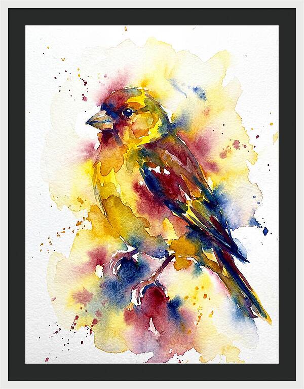 Colorful Finch Watercolor