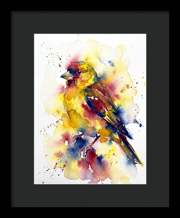 Colorful Finch Watercolor