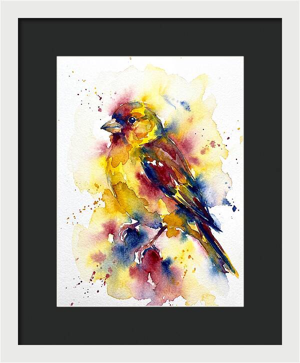 Colorful Finch Watercolor
