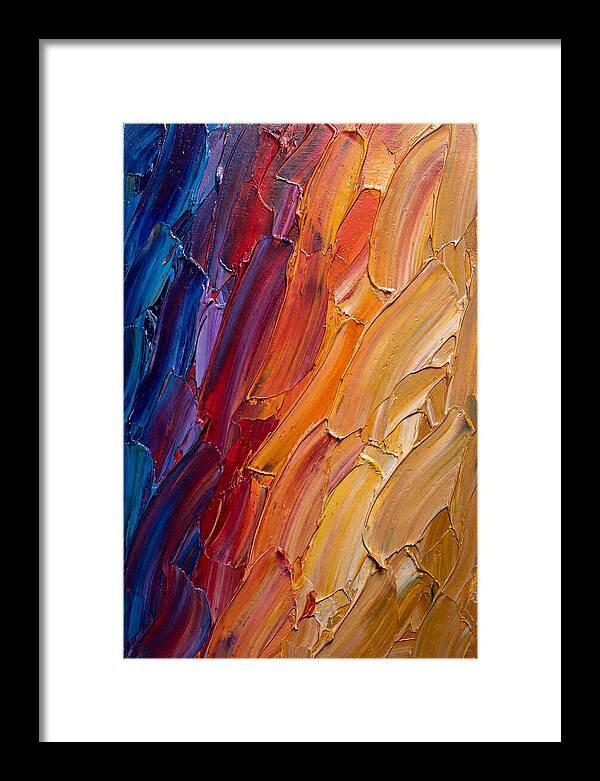 Colorful Gradient Harmony