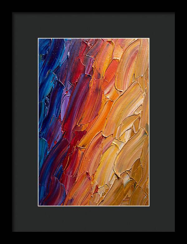 Colorful Gradient Harmony