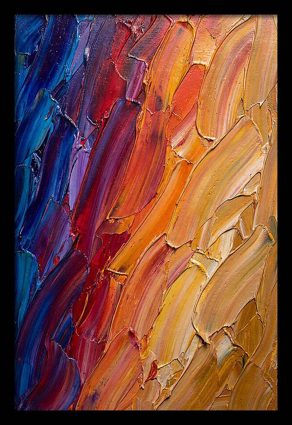 Colorful Gradient Harmony