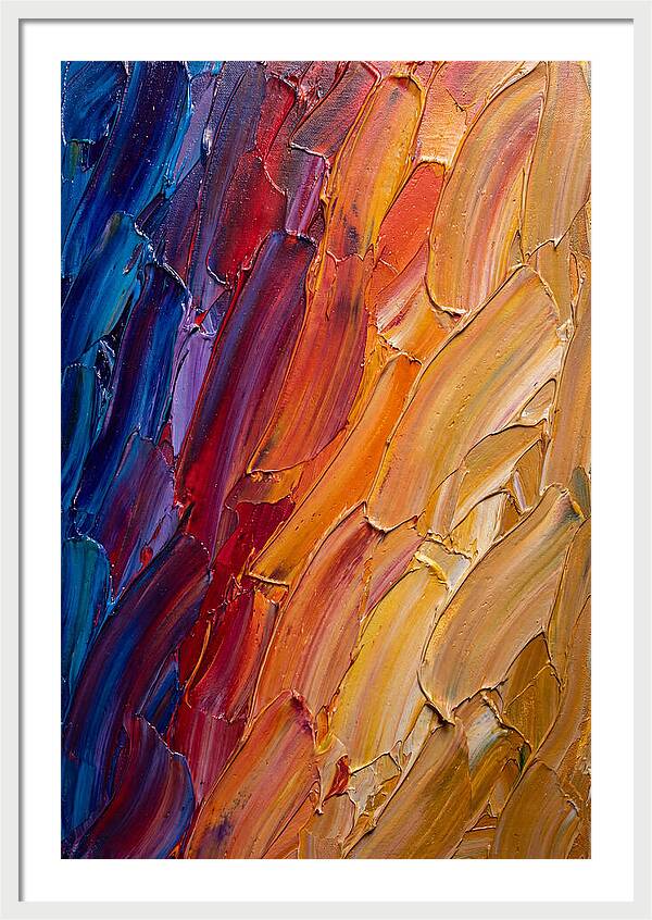 Colorful Gradient Harmony