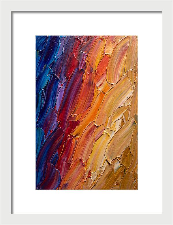 Colorful Gradient Harmony