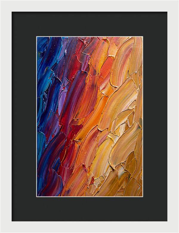 Colorful Gradient Harmony