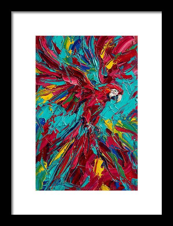 Colorful Macaw Soaring High