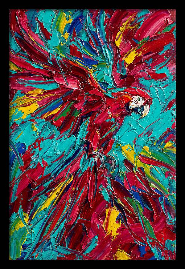 Colorful Macaw Soaring High