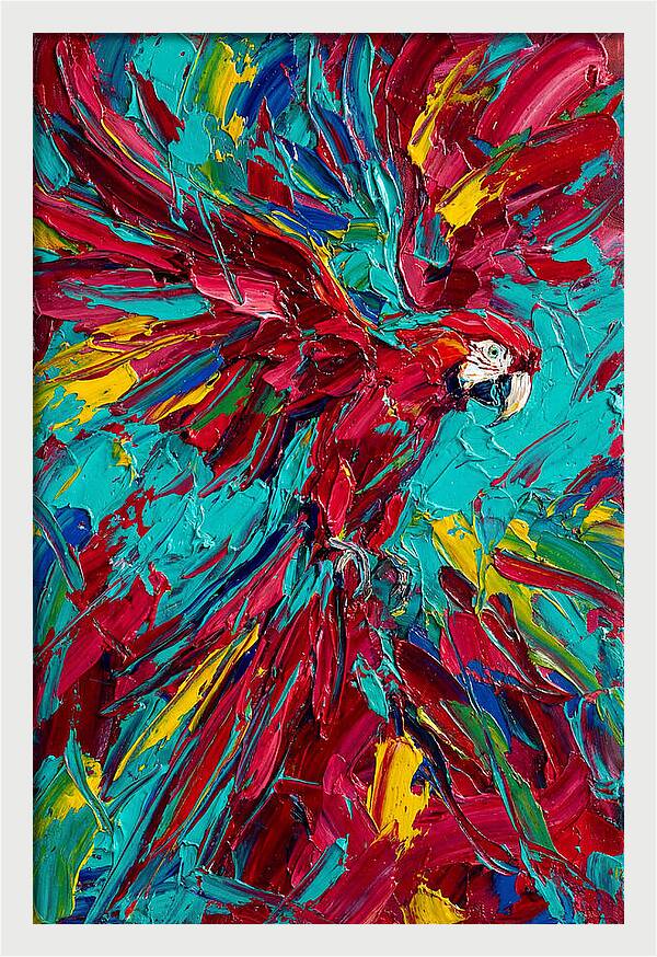Colorful Macaw Soaring High