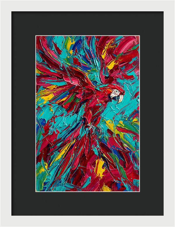 Colorful Macaw Soaring High