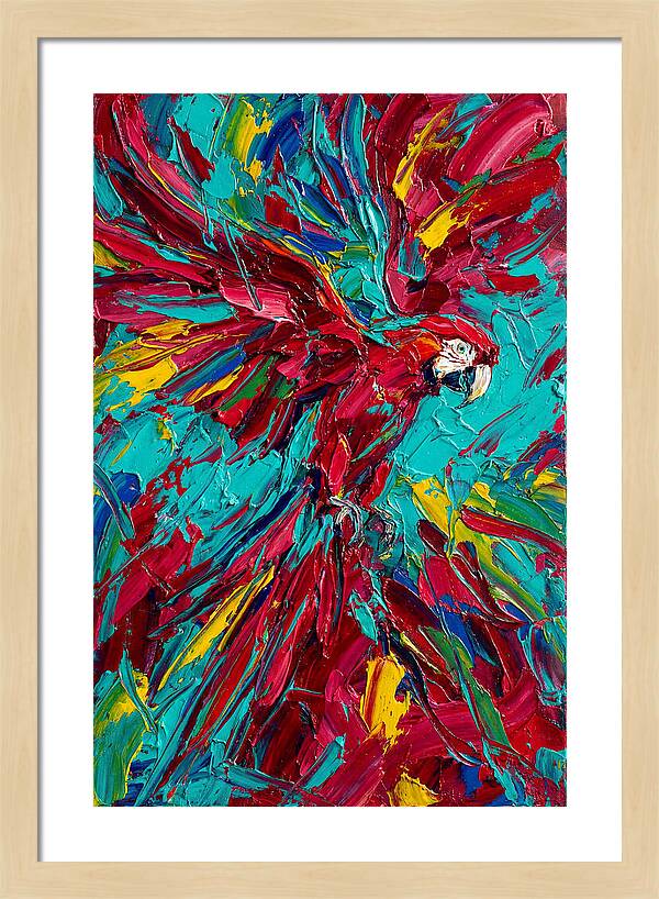 Colorful Macaw Soaring High