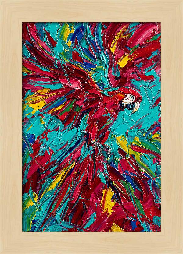 Colorful Macaw Soaring High