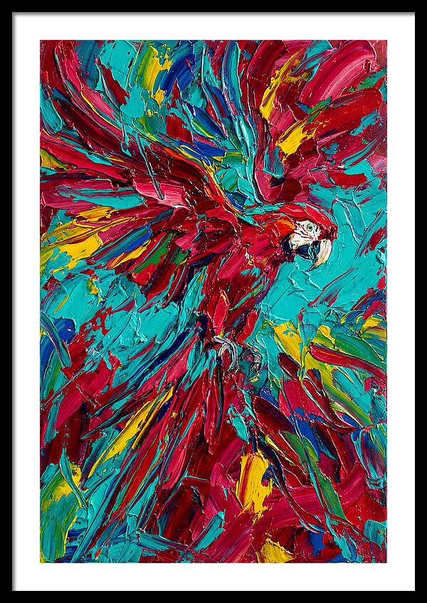Colorful Macaw Soaring High