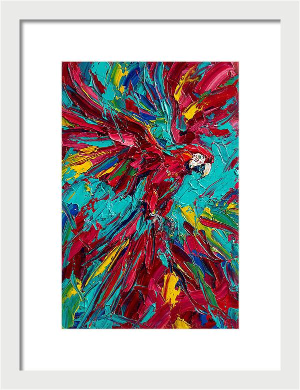 Colorful Macaw Soaring High