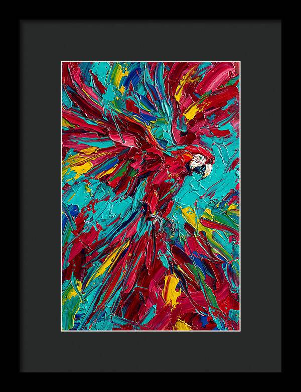 Colorful Macaw Soaring High