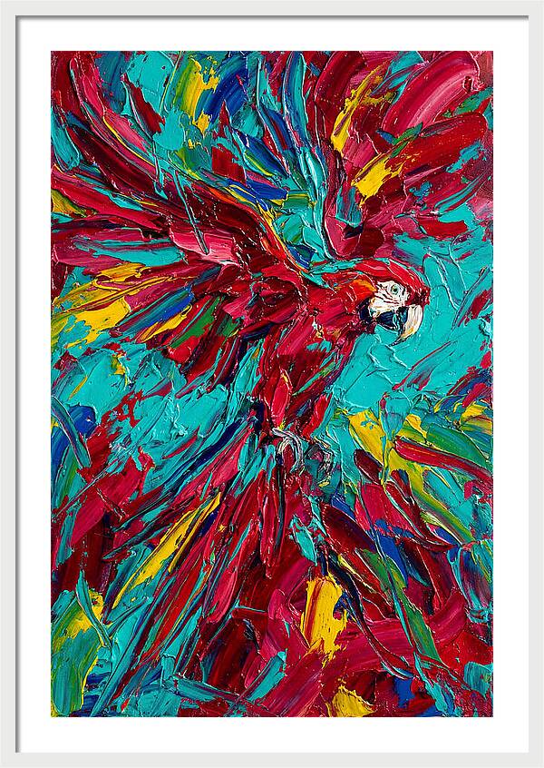 Colorful Macaw Soaring High