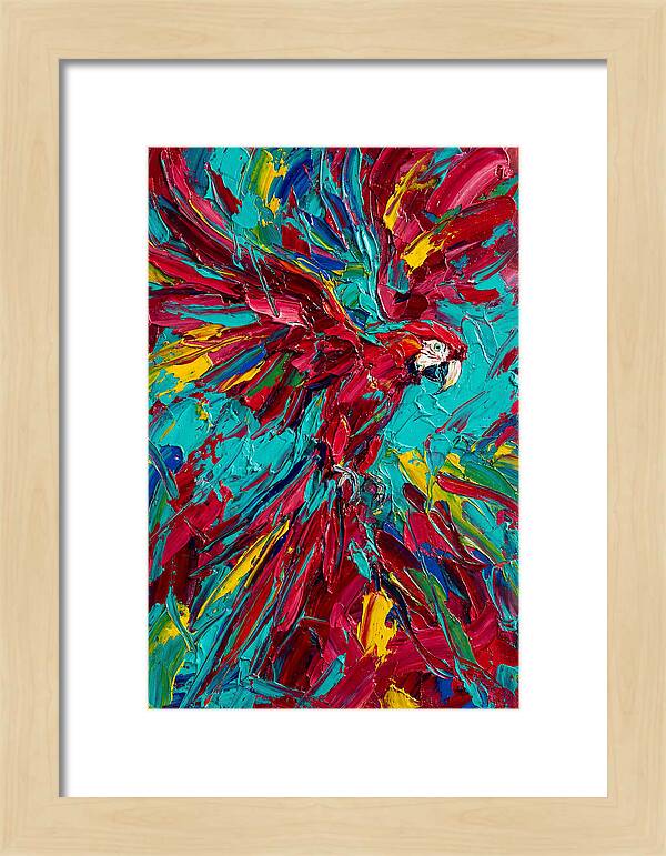 Colorful Macaw Soaring High