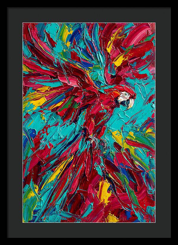 Colorful Macaw Soaring High