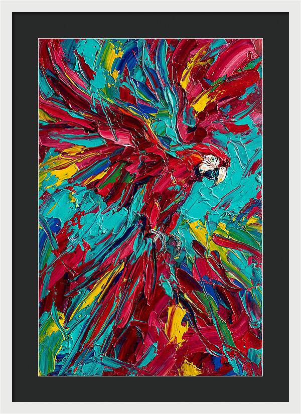 Colorful Macaw Soaring High