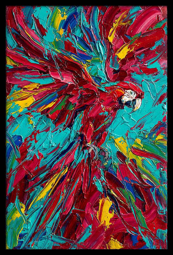 Colorful Macaw Soaring High